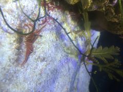 郑州海洋馆-郑州海洋馆