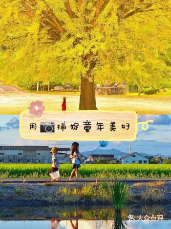 宫崎骏风格的摄影,沁人心脾!