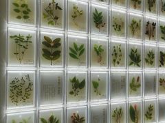 -广东中医药博物馆