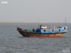 -大湾区中央湿地公园