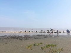 -南汇嘴观海公园