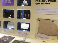 -正佳自然科学博物馆