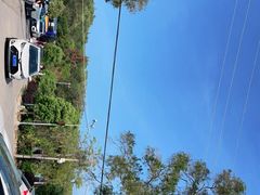 -广东惠东海龟国家级自然保护区