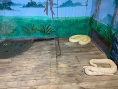 -石家庄市动物园