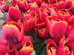 -北京全聚德(王府井店)