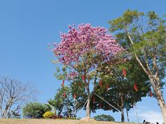 -白石龙音乐公园