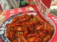 -阿财老铺·老蚌埠龙虾城(华夏总店)
