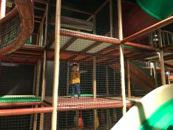 -奇幻丛林(佛罗伦萨小镇店)