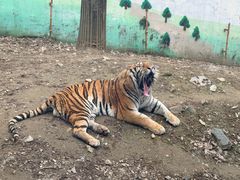 -栾川竹海野生动物园