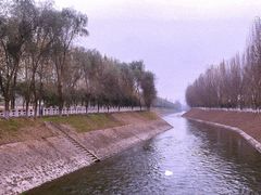 -汉长安城未央宫国家考古遗址公园