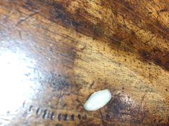 -泮金大塘(北二七路店)