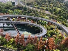 -梅峰山地公园