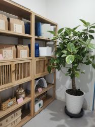 -康谛尔健康管理机构