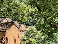 -杨家堂村