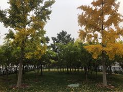 -永定门南广场