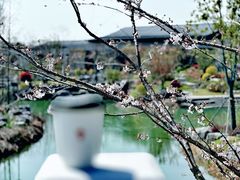 -阳澄湖费尔蒙酒店