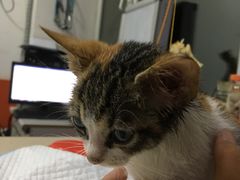 -惠康宠物医院(华能路店)