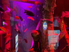 -沈阳海洋探索中心