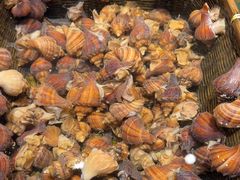 -龙宴海鲜城(经中路店)