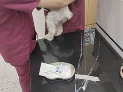 -瑞派康怡24h宠物医院·犬猫医疗中心·微创绝育(瑞景分院)