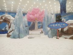 -长沙湘江冰雪世界