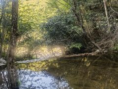 -燕子河大峡谷天坑仙境