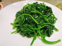 -新渝城·始于2000年(淘金店)