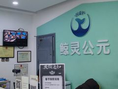 -鲸灵公元游泳中心