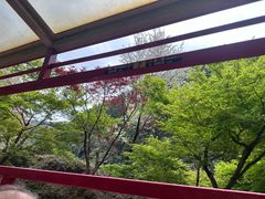 -岚山嵯峨野观光小火车
