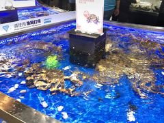 -盒马鲜生(莱蒙都会店)