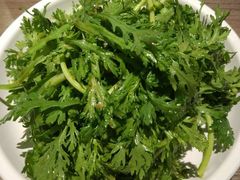 -九毛九西北菜(百信广场店)