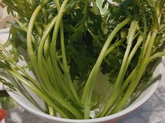 -蒙都43°9羊火锅·赤峰美食(桥北店)
