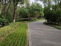 -昆山城市生态森林公园