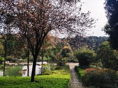 -铁山坪森林公园