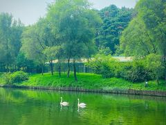 -沈阳森林动物园
