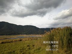 -腾冲北海湿地