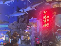 -烟台海昌鲸鲨海洋公园
