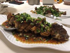 让鲮鱼-广东胜利宾馆西关粤中餐厅