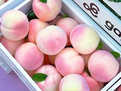 -gaga(深圳福田星河COCO Park店)