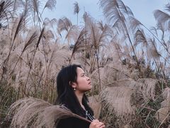 -保利石象湖景区