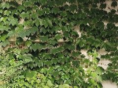 -溪畔•新徽菜(碧湖云溪店)