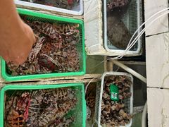 -外伶仃岛海鲜市场
