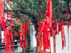 -濮园 · 四合院餐厅