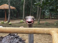 -大连森林动物园