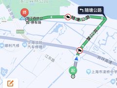 -上海滨江森林公园
