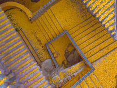 -遵化市禅林寺古银杏风景园