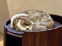 -梵几(东信·和创园店)