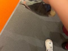 -新白鹿餐厅(龙游路总店·杭帮菜名店)