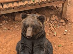 -昆明动物园