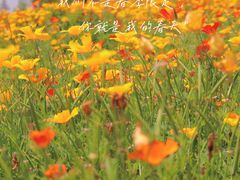 -上海辰山植物园